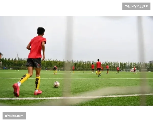 挪威足球关注青训体系,旨在培养更多顶尖人才